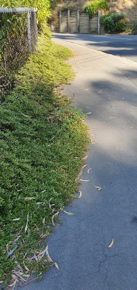 Roading/Streets, a report photo