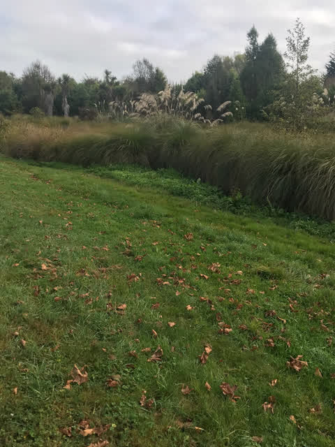 Parks, a report photo