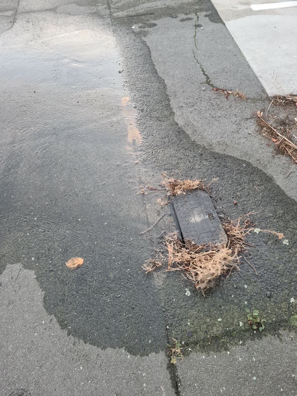 The photograph attached to this water leak report