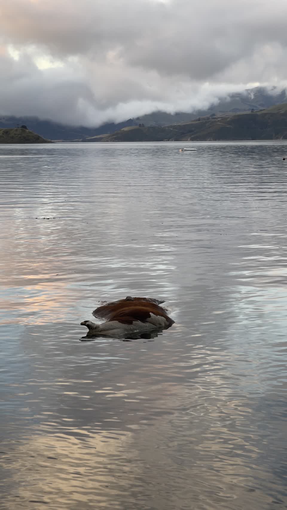 The photograph attached to this water supply report