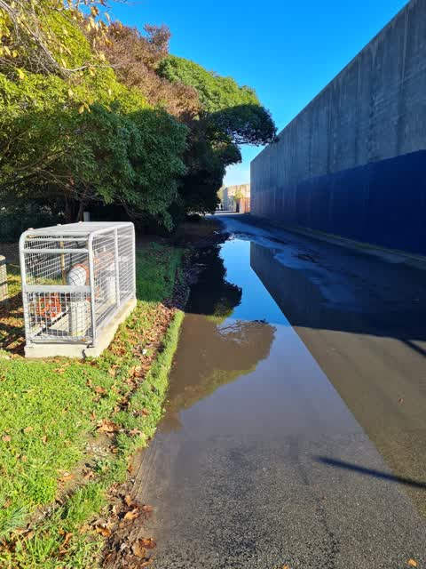 Water Leak, a report photo