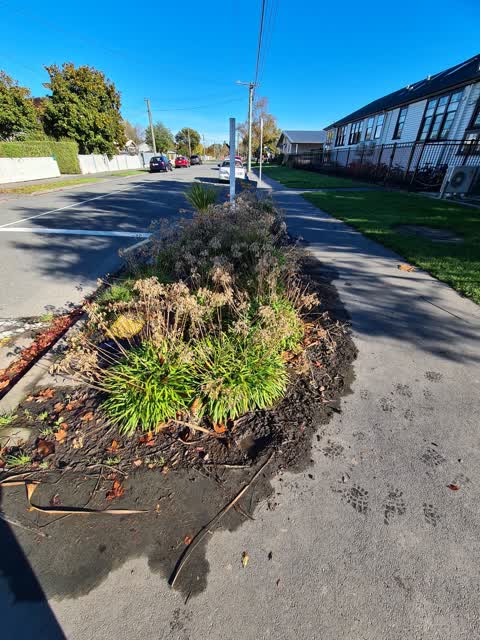 Water Leak — a report photo
