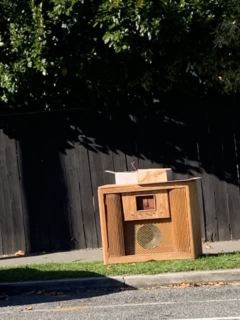Rubbish/Recycling, a report photo