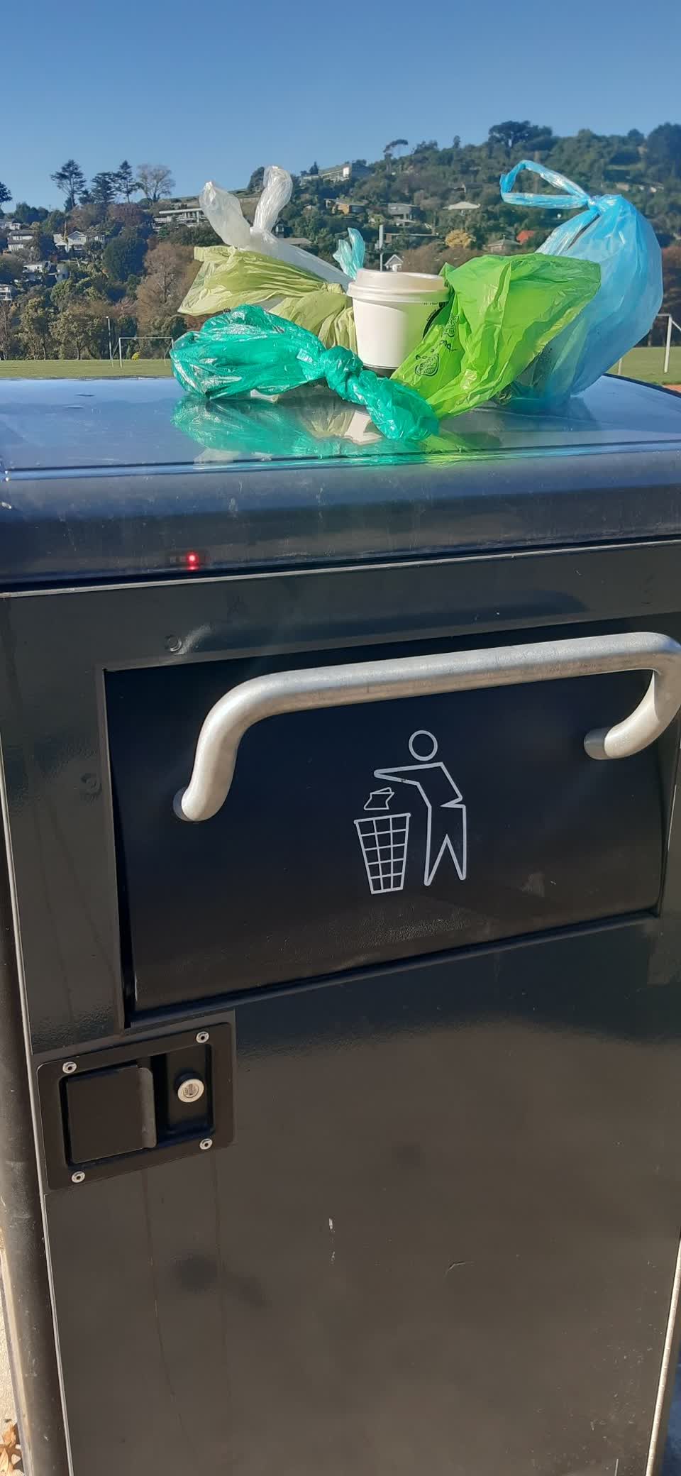 The photograph attached to this parks report