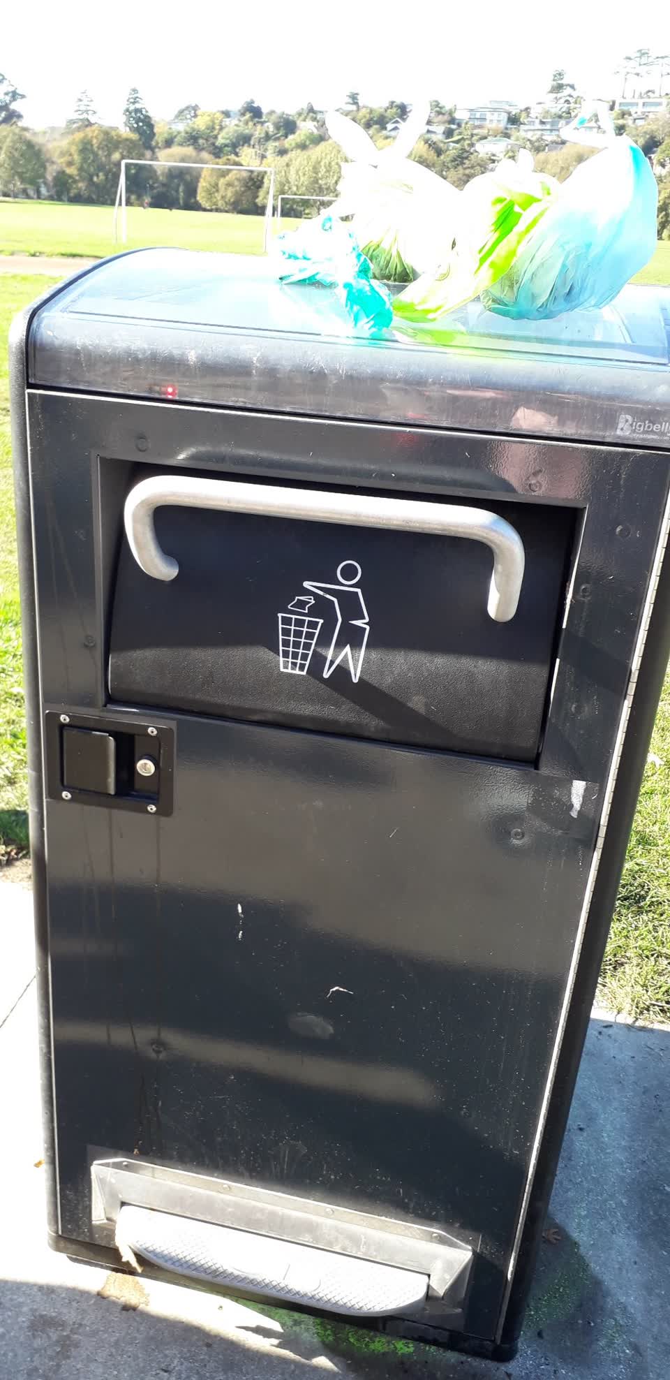 The photograph attached to this parks report