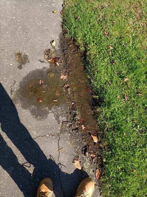 Water Leak, a report photo