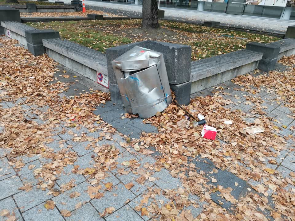 The photograph attached to this rubbish/recycling report