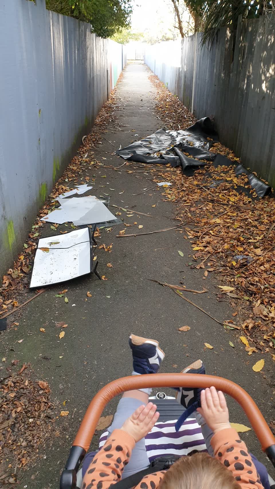 The photograph attached to this rubbish/recycling report