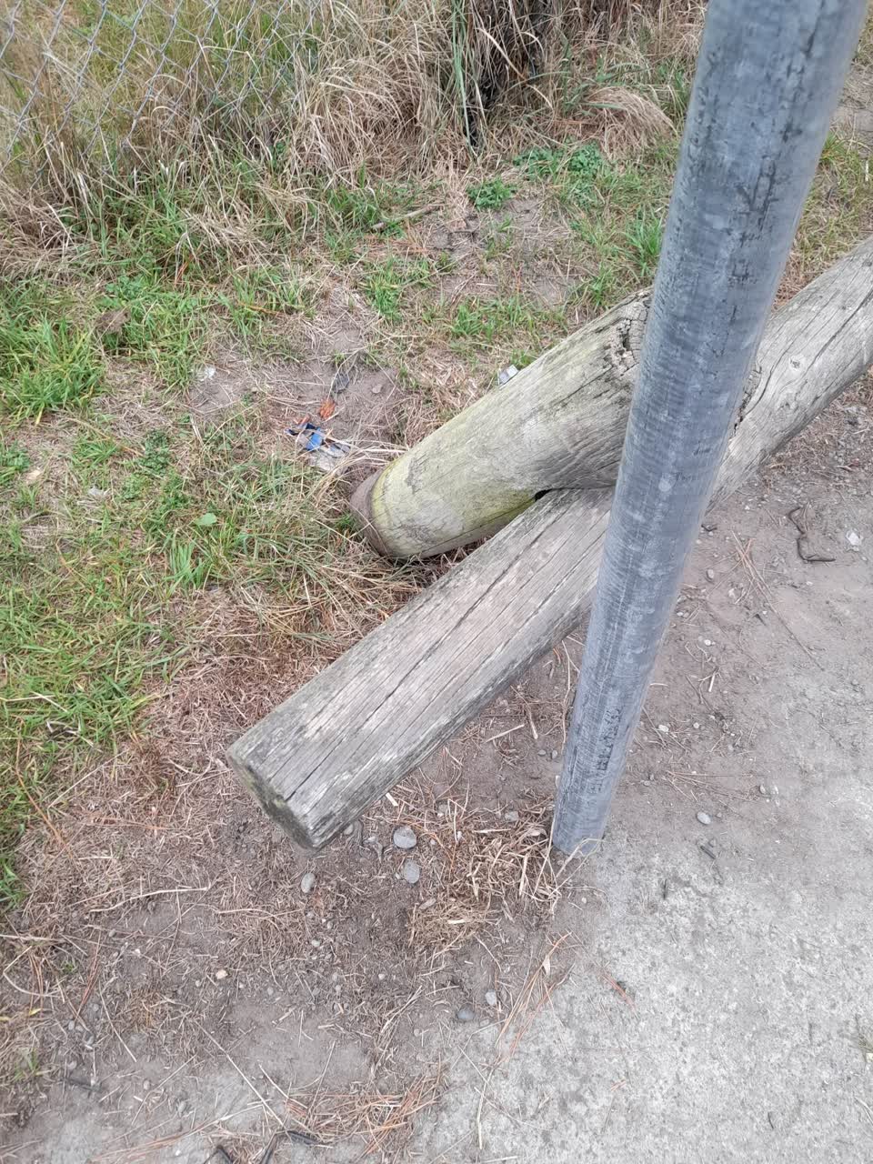 The photograph attached to this parks report