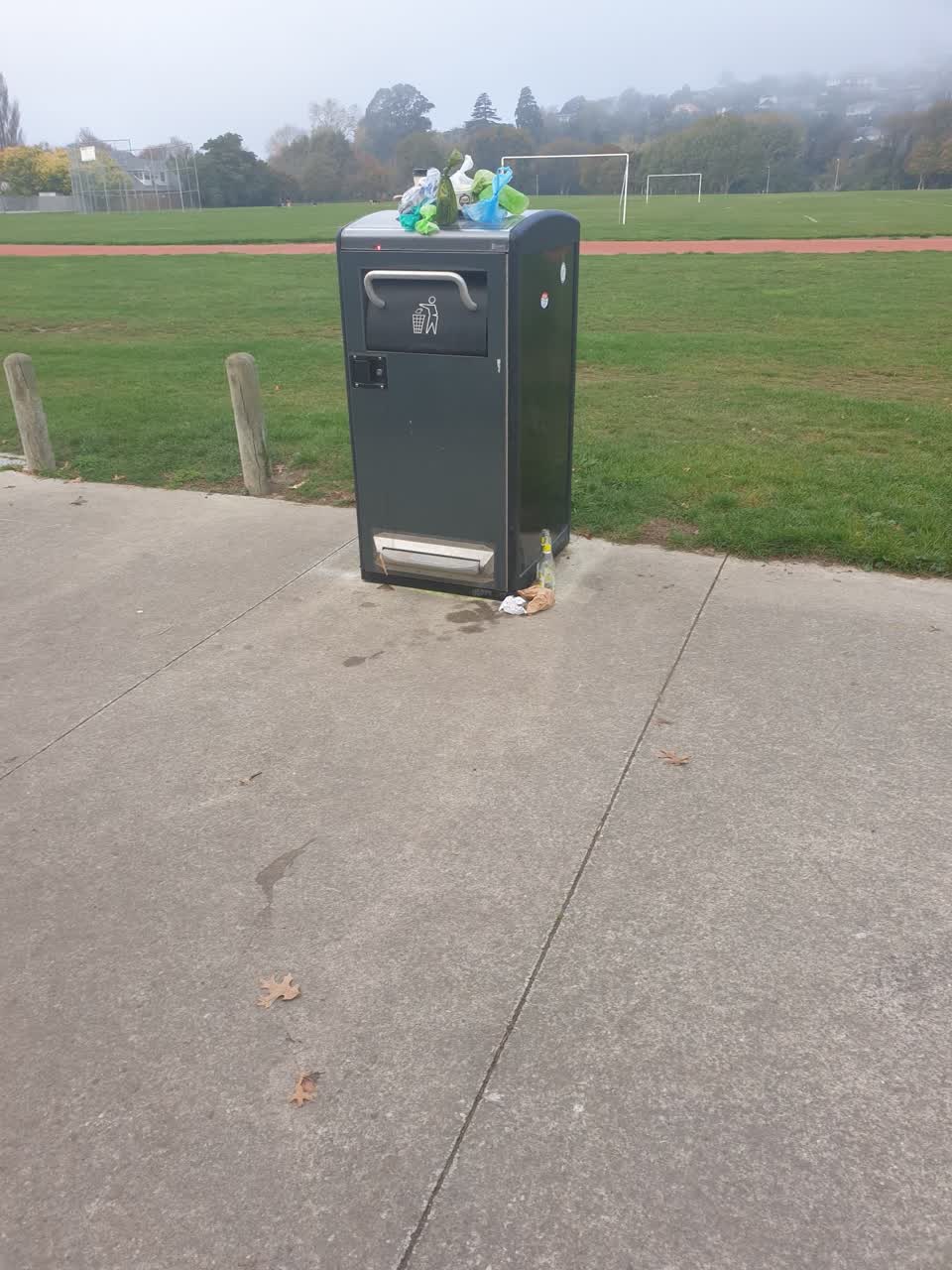 The photograph attached to this rubbish/recycling report