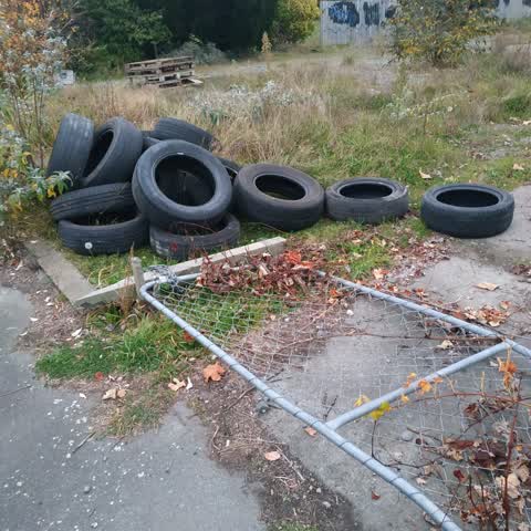 Rubbish/Recycling, a report photo