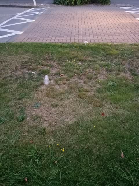 Parks, a report photo