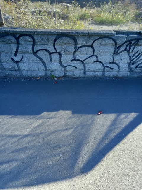 Graffiti, a report photo