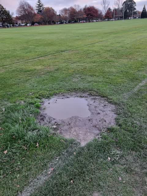 Parks, a report photo