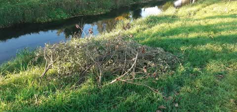 Rubbish/Recycling — a report photo