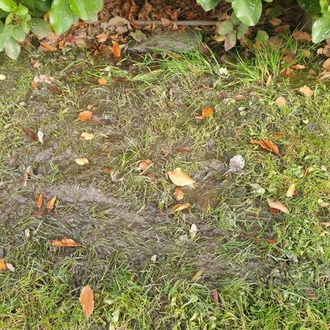 Water Leak, a report photo