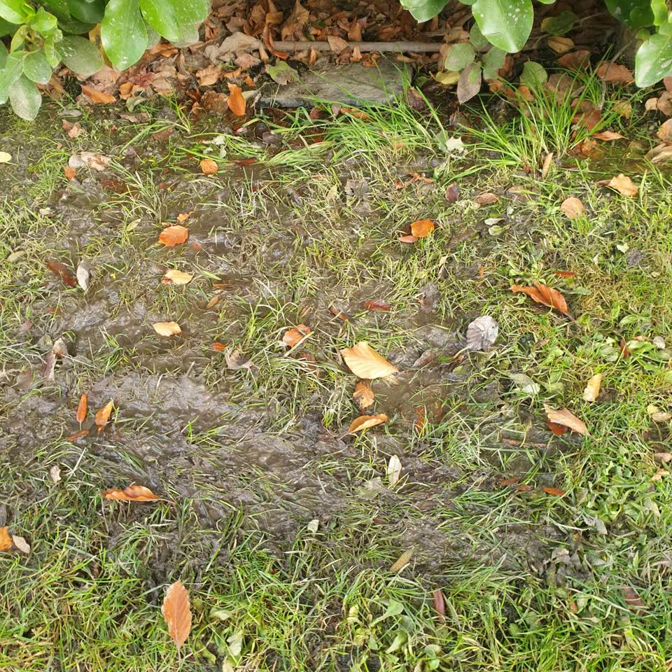 The photograph attached to this water leak report