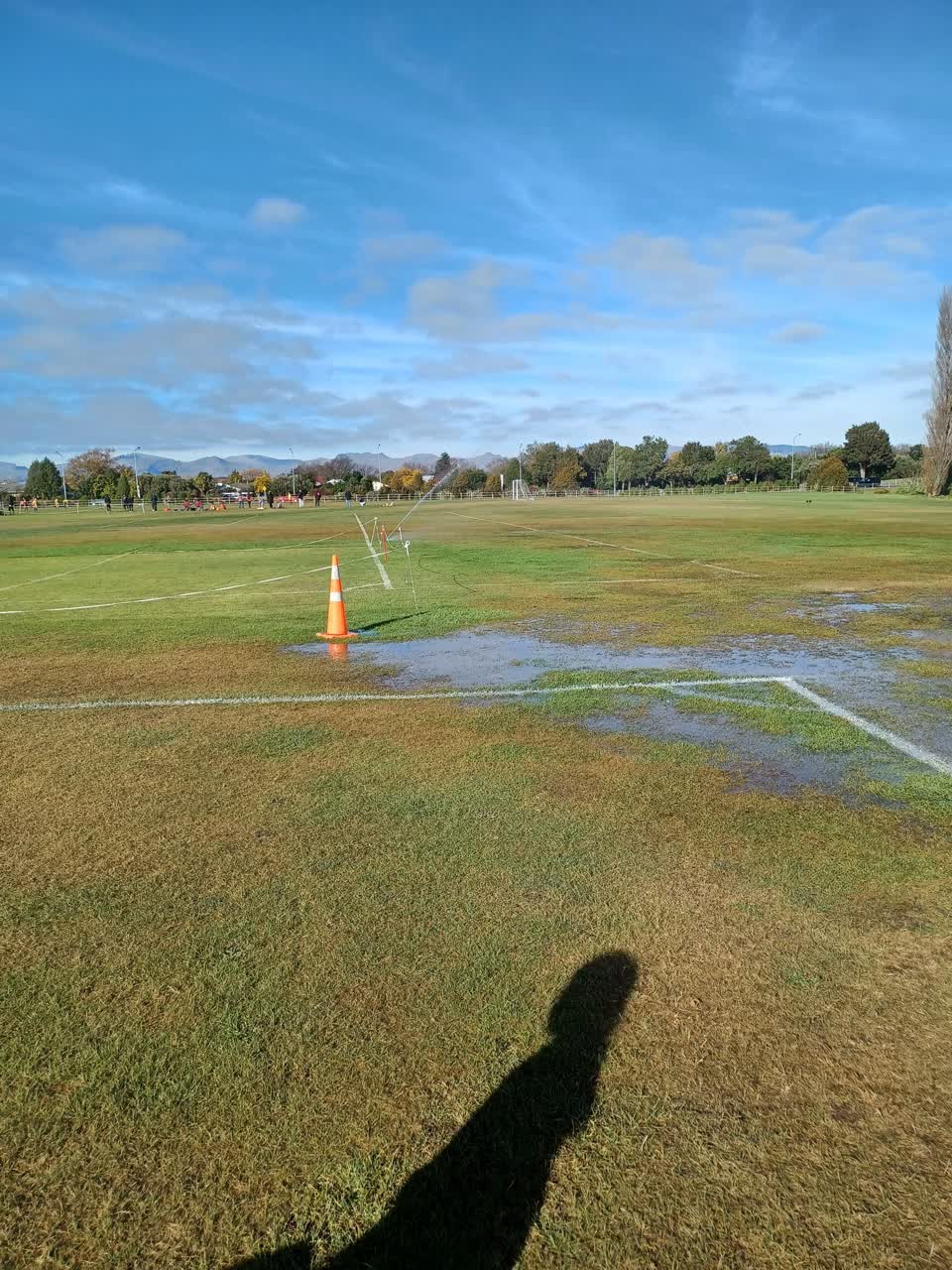 The photograph attached to this parks report