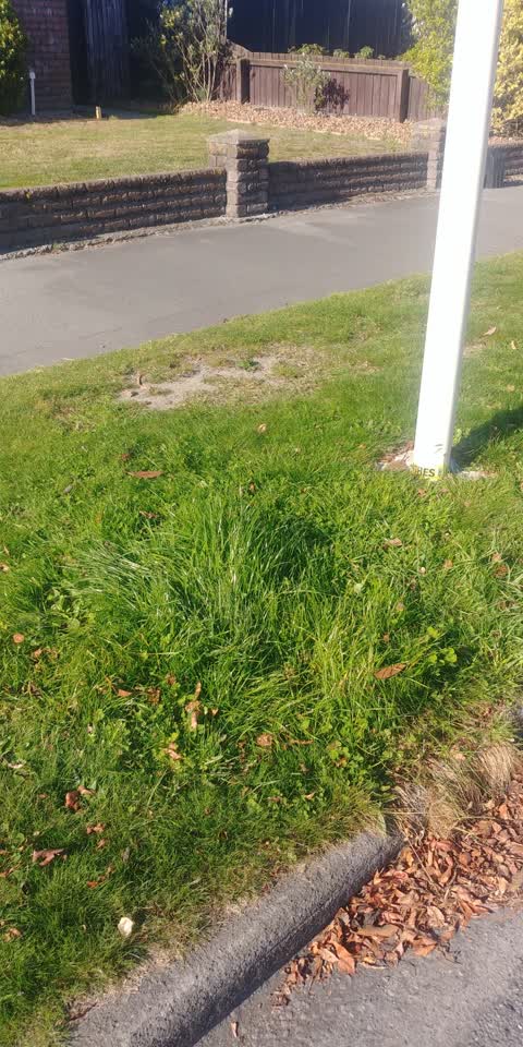 Wastewater/Stormwater, a report photo