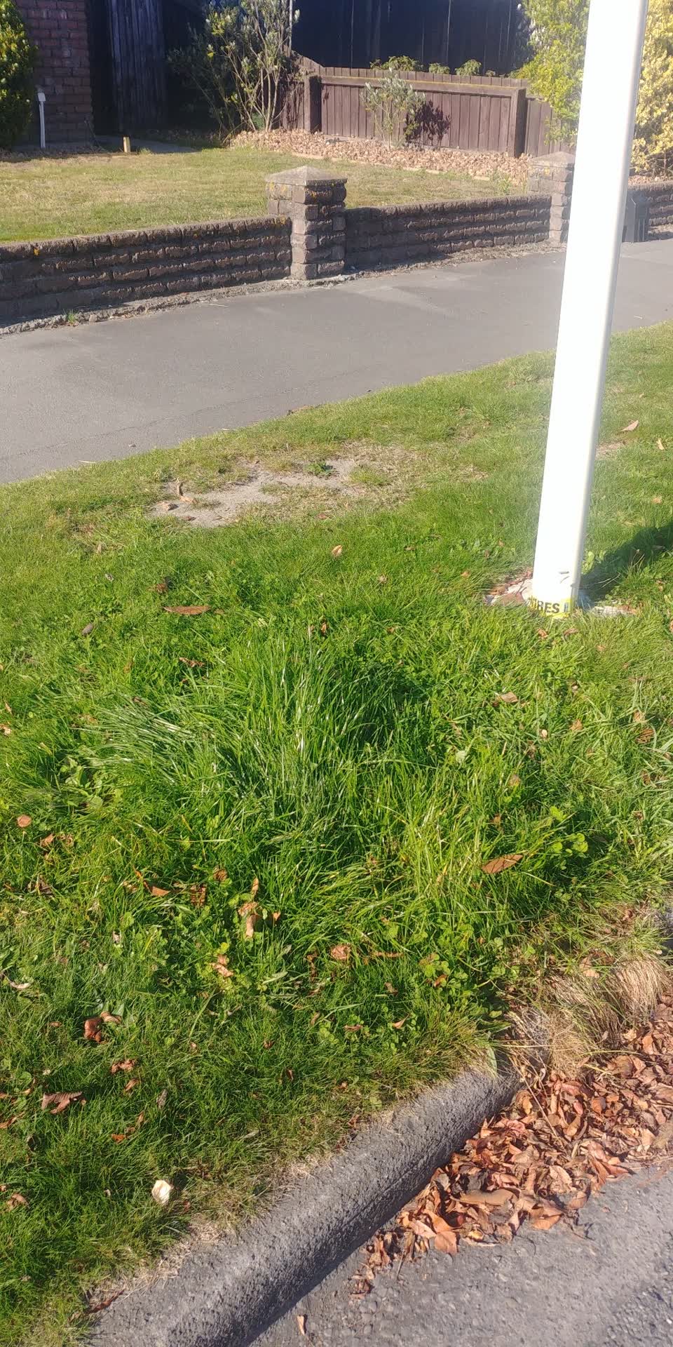 The photograph attached to this wastewater/stormwater report
