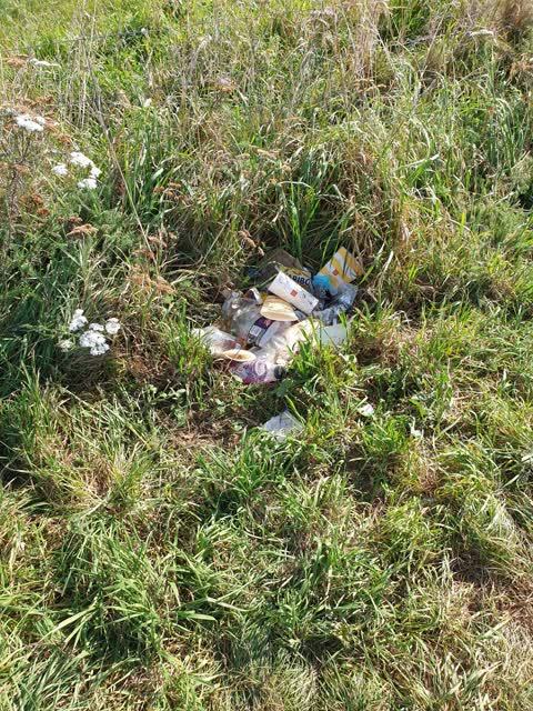 Rubbish/Recycling — a report photo