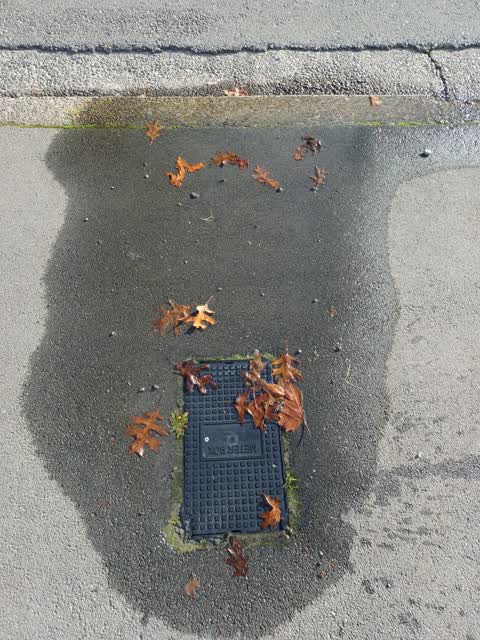 Water Leak, a report photo