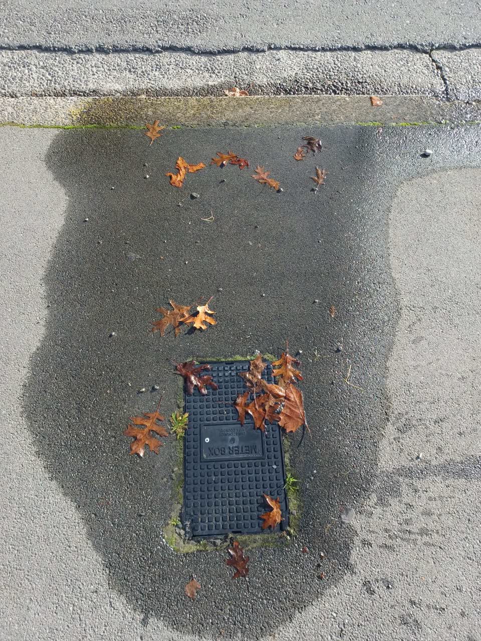 The photograph attached to this water leak report