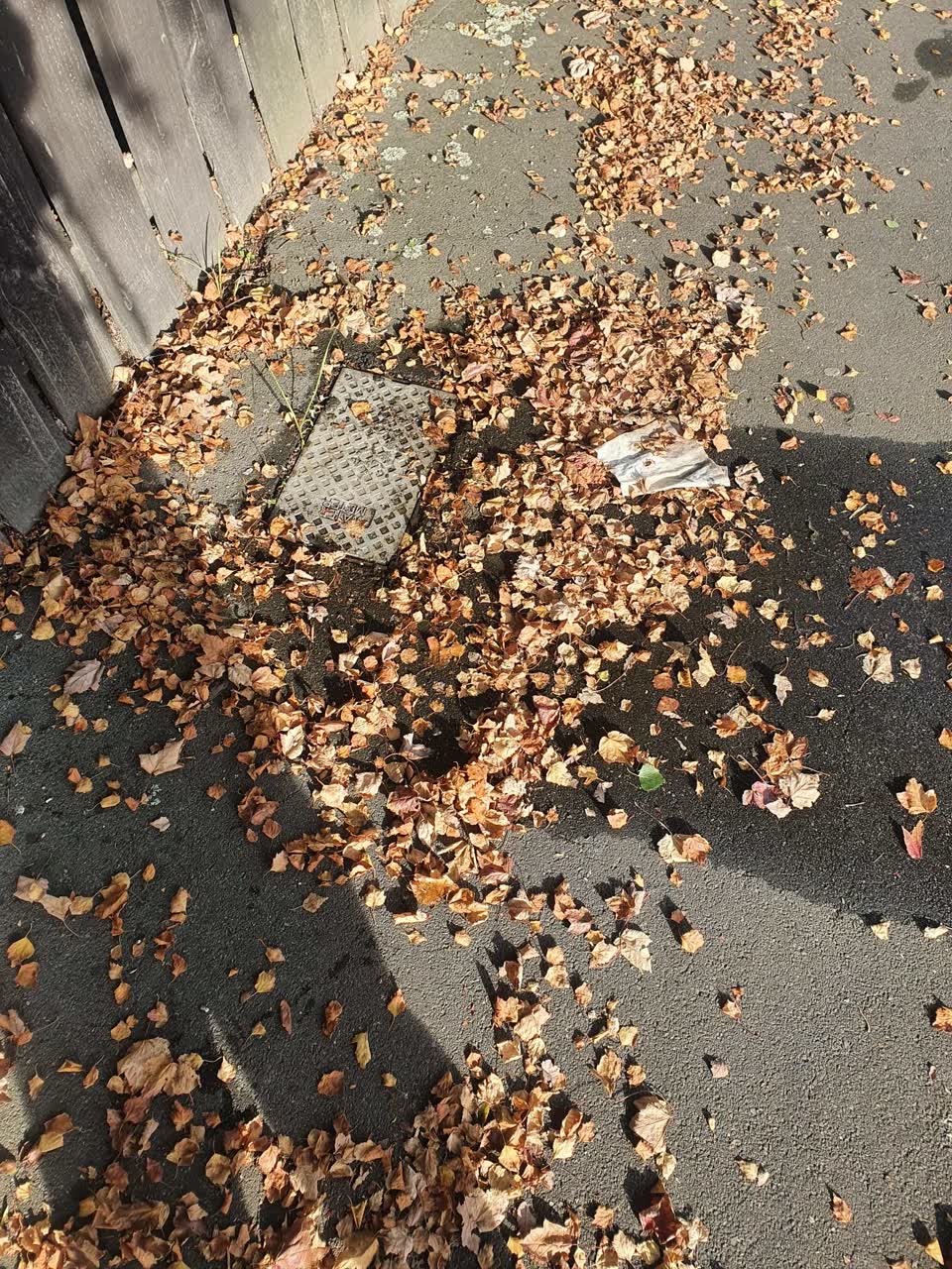 The photograph attached to this water leak report