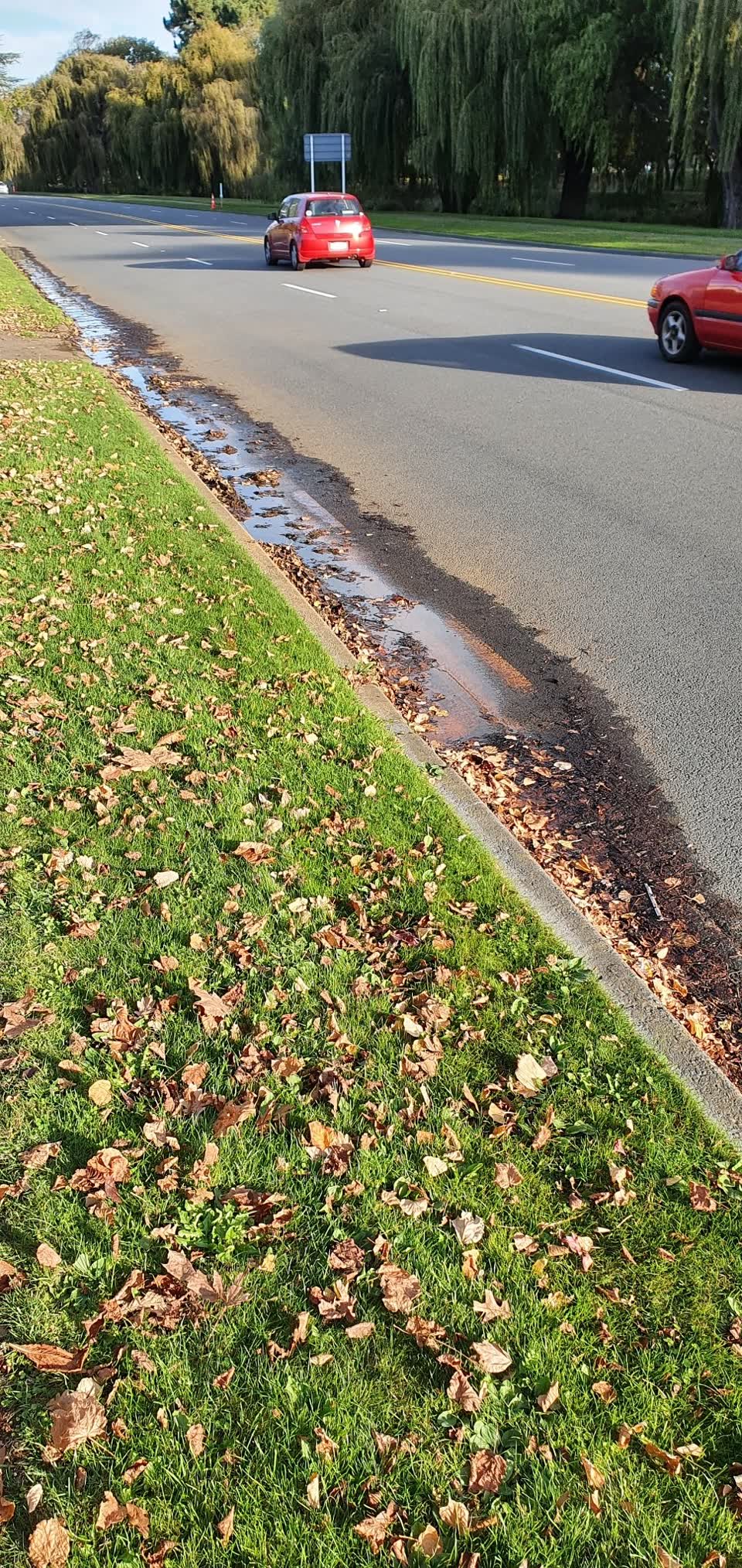 The photograph attached to this water leak report