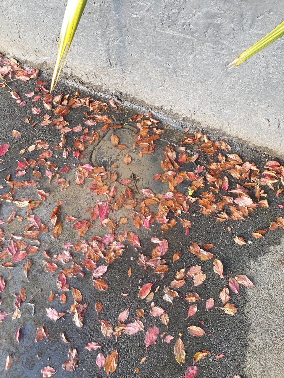 The photograph attached to this water leak report