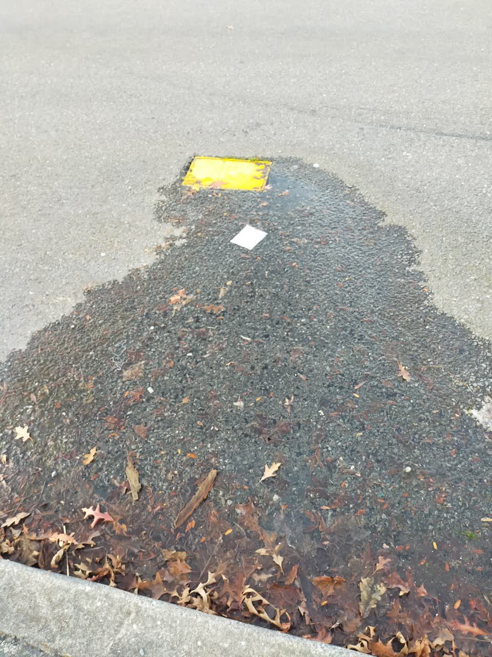 The photograph attached to this water supply report