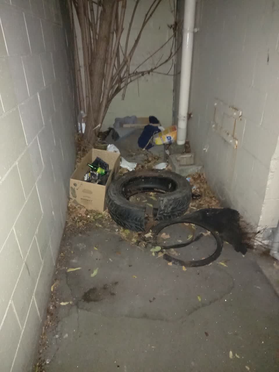 The photograph attached to this rubbish/recycling report