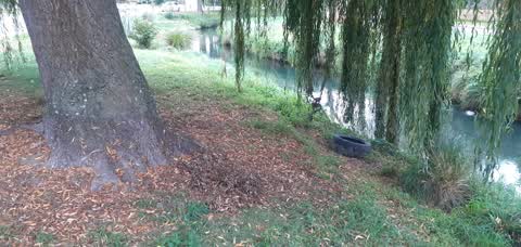 Rubbish/Recycling, a report photo
