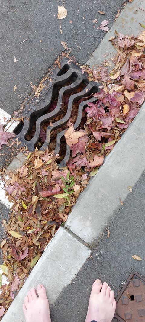 Roading/Streets, a report photo
