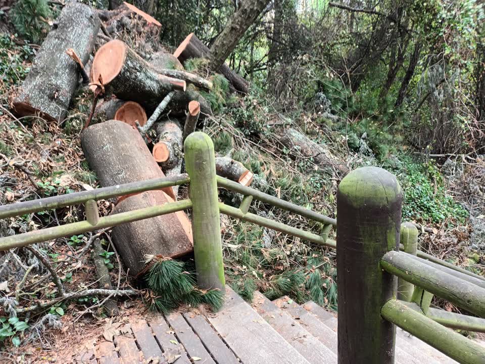The photograph attached to this parks report