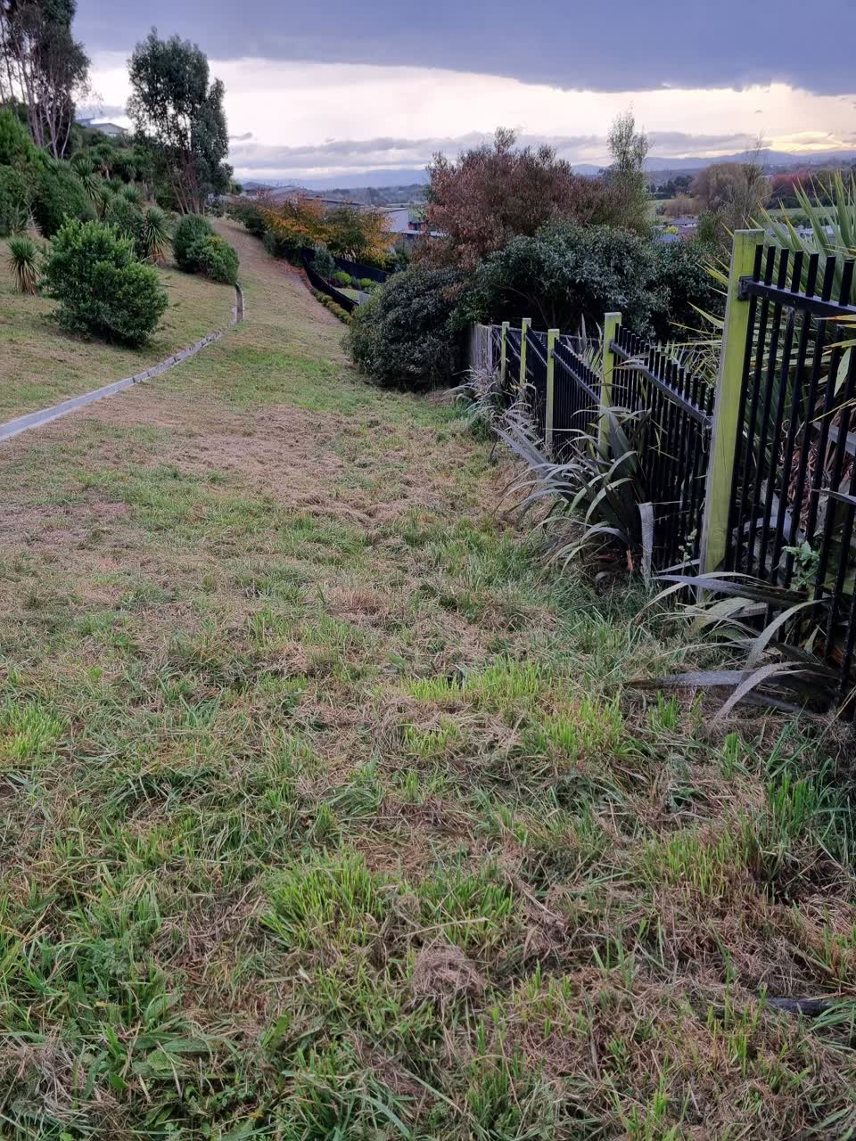 The photograph attached to this parks report