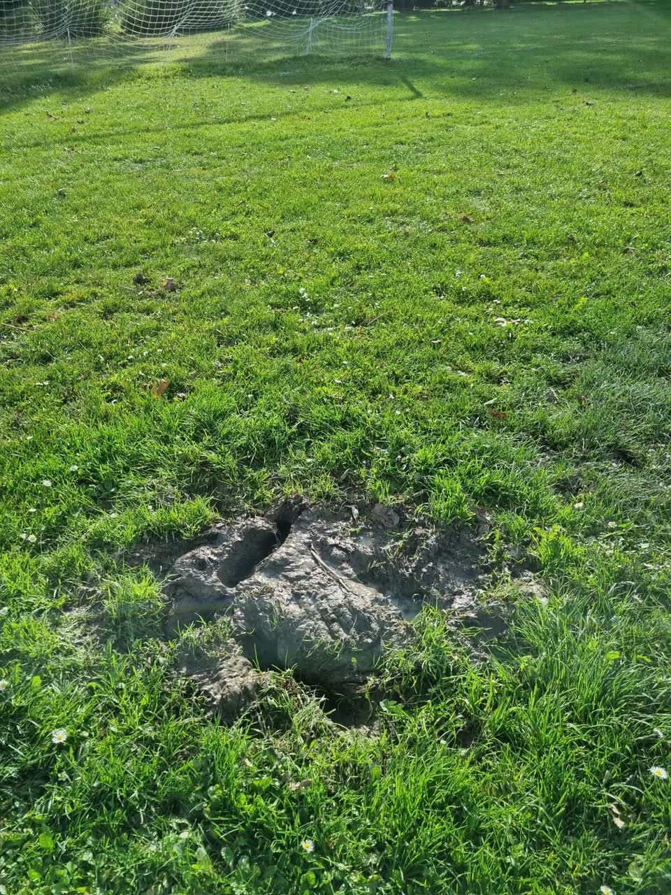 The photograph attached to this parks report