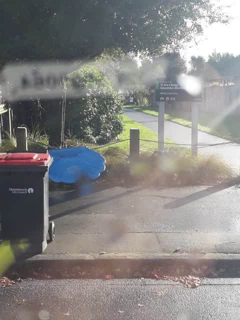 Rubbish/Recycling, a report photo