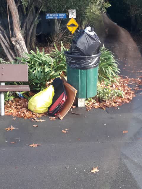 Rubbish/Recycling — a report photo