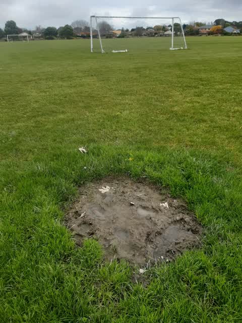 Parks, a report photo