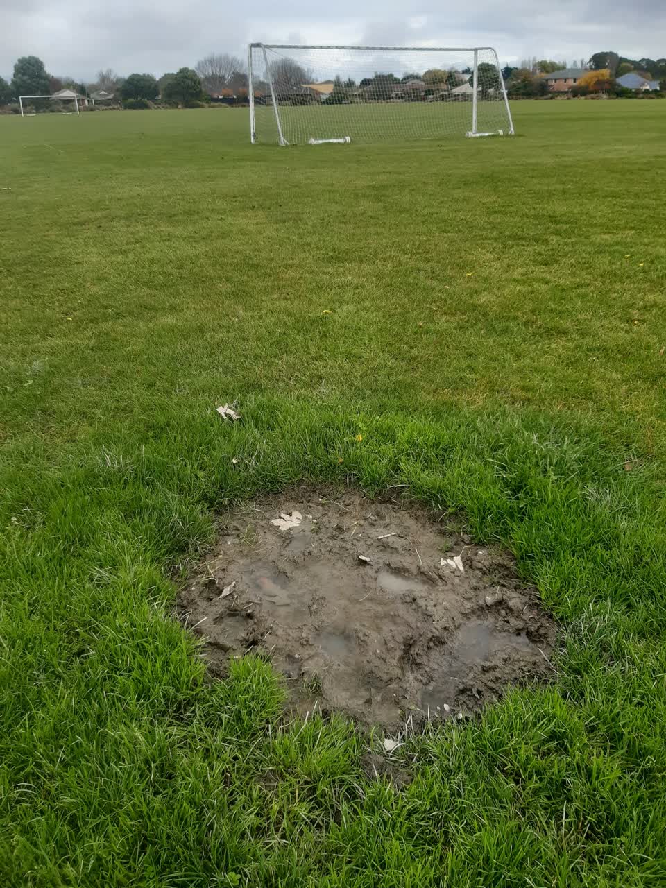 The photograph attached to this parks report