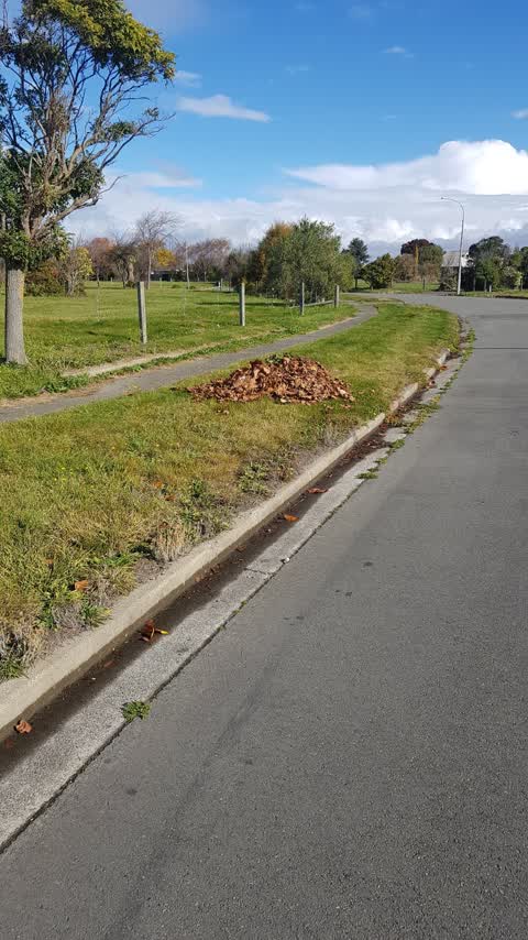 Rubbish/Recycling, a report photo