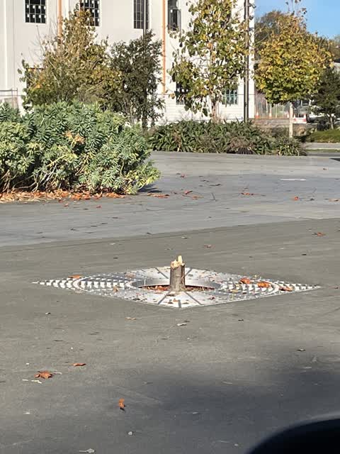 Parks, a report photo