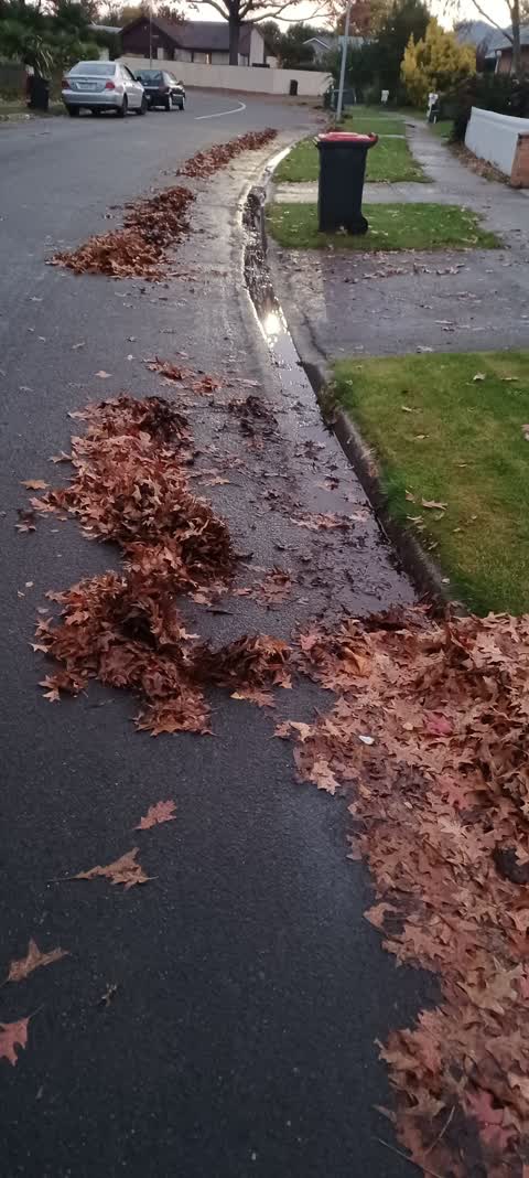 Roading/Streets, a report photo