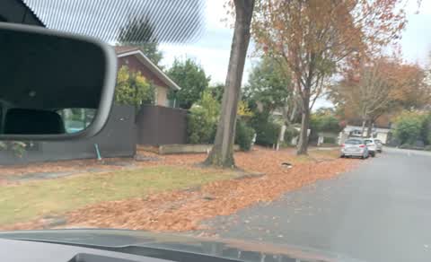 Roading/Streets, a report photo