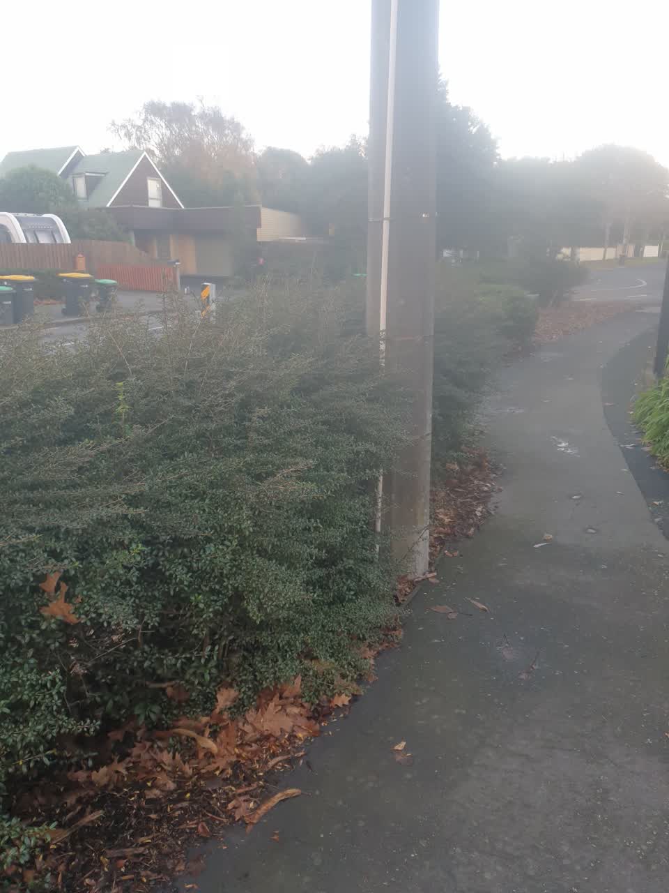 The photograph attached to this roading/streets report