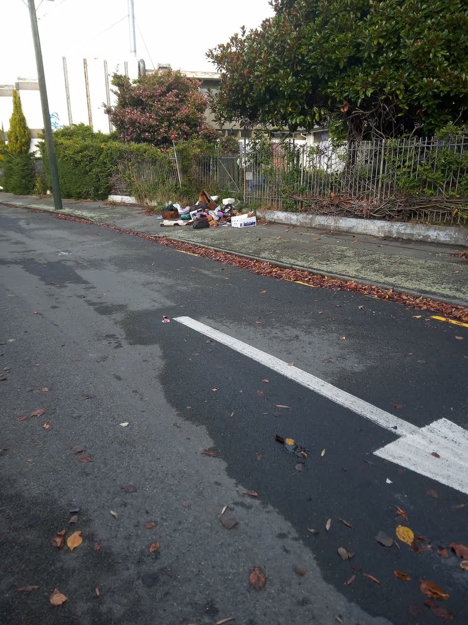The photograph attached to this rubbish/recycling report