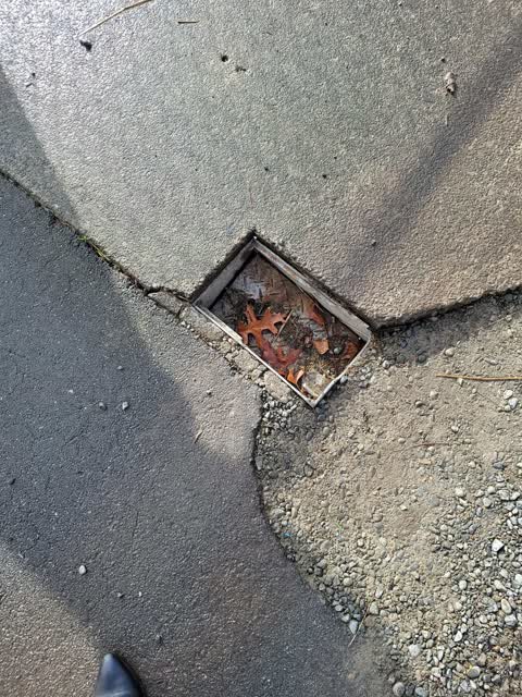 Wastewater/Stormwater, a report photo