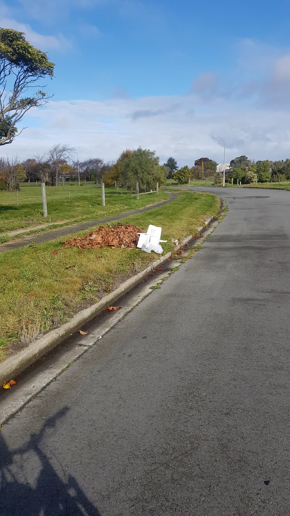 The photograph attached to this rubbish/recycling report
