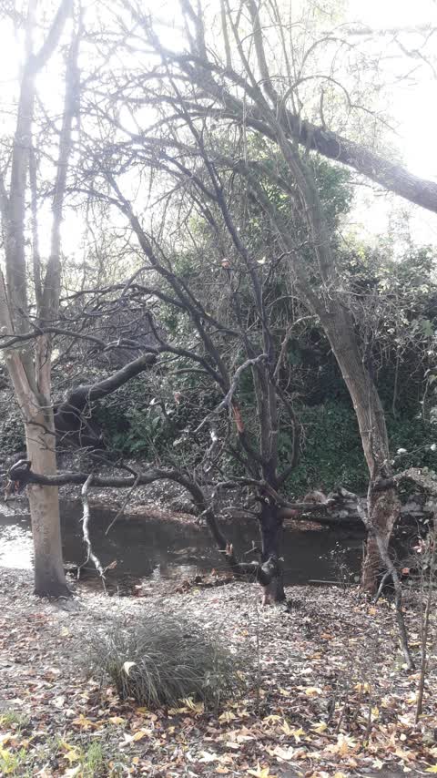 Parks, a report photo